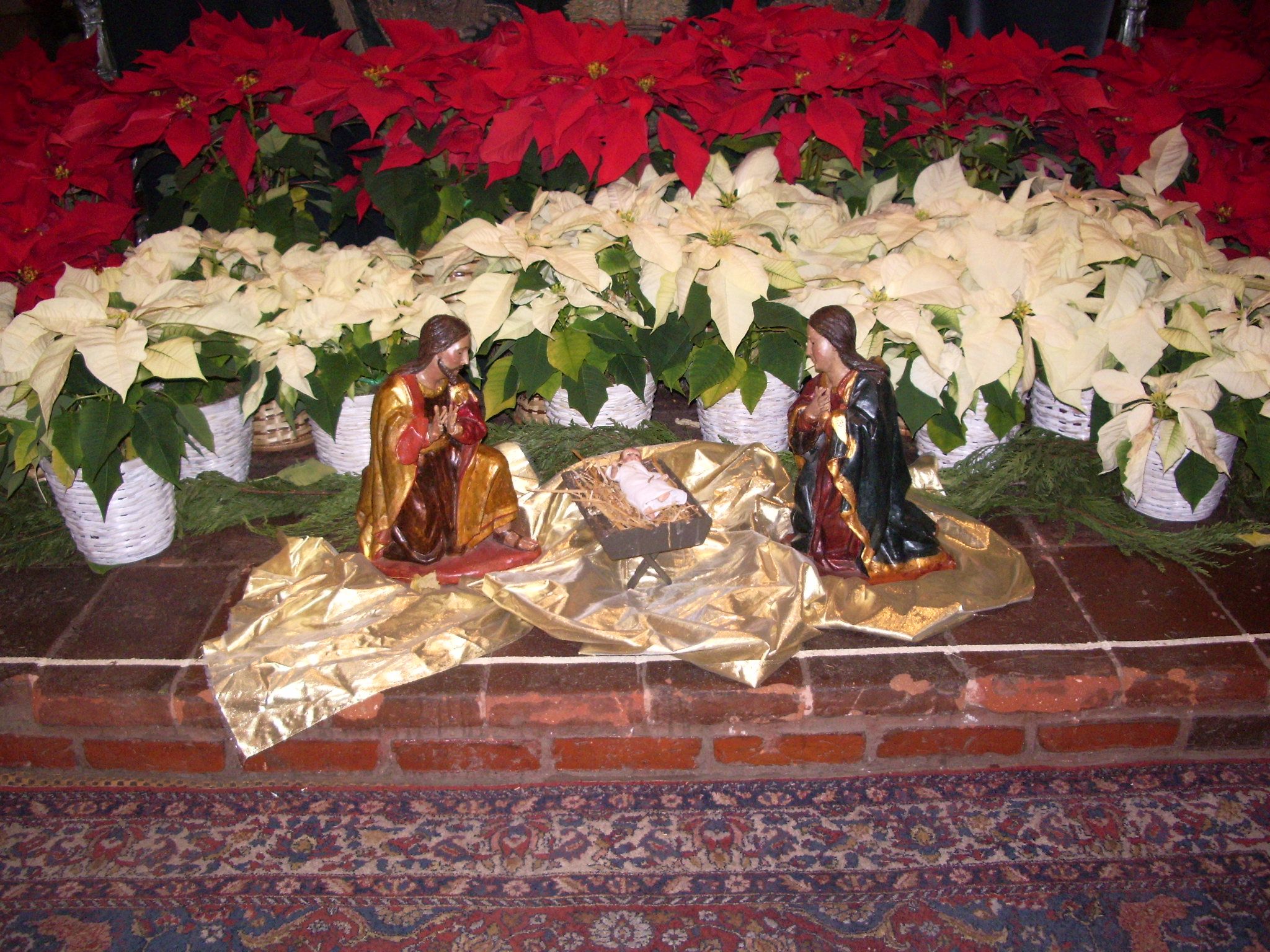 Christmas Greetings from Fr. Colin MacInnes